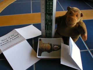 Mr Monkey measuring the height of his stack of cards