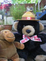 Mr Bear the Canadian Mountie
