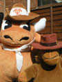 Mr Bevo the Texas Longhorn