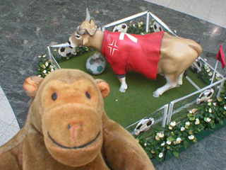 Mr Monkey looking down on a cow in a number 7 football shirt