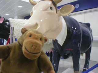 Mr Monkey beside a cow painted as the captain of an airliner