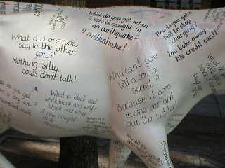 Close up of the jokes on the side of the cow