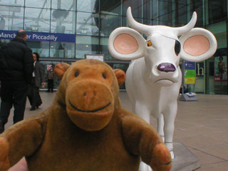 Mr Monkey with a white cow with an eyepatch and large mouselike ears