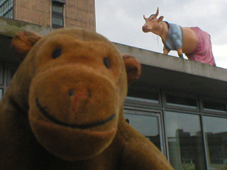 Mr Monkey below a cow wearing a vaguely Indian costume