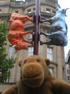 Mr Monkey in front of two cows fixed to a lamp post