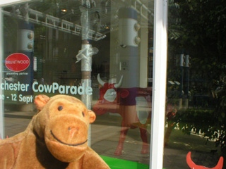 Mr Monkey looking in at a red and white cow