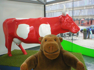 Mr Monkey in front of a red and white cow