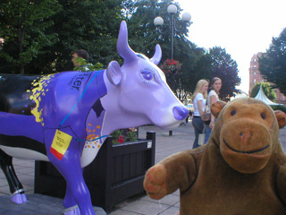 Mr Monkey in front of a cow in a purple and black uniform