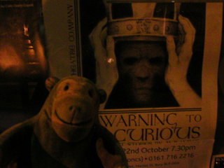 Mr Monkey looking at the poster outside the theatre