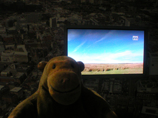 Mr Monkey watching Phil Griffin's Winter Hill video