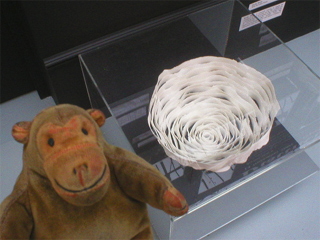 Mr Monkey looking at Becky Harle's Wide Porcelain Vessel