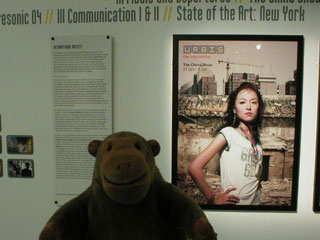 Mr Monkey looking at the International Artists section