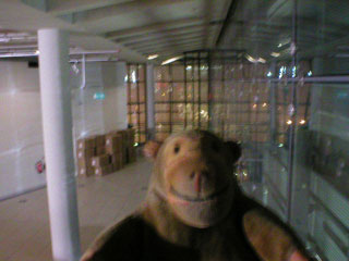 Mr Monkey looking at an empty space at Urbis