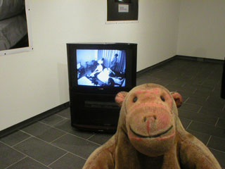 Mr Monkey watching the They Are Not Here video