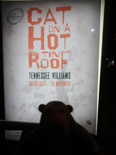 Mr Monkey looking at the Cat on a Hot Tin Roof poster