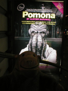 Mr Monkey looking at the Pomona poster