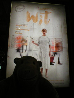 Mr Monkey looking at the Wit poster