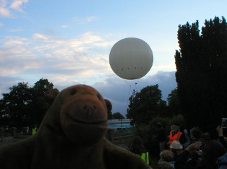 Mr Monkey watching the Moon rise