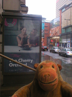 Mr Monkey looking at the poster for The Cherry Orchard