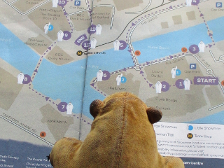 Mr Monkey studying the Snowman route map