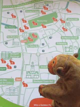 Mr Monkey planning his route