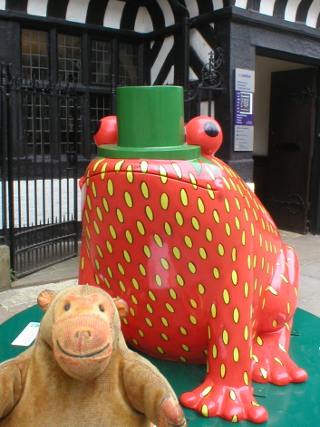 Mr Monkey looking at Strawberry Fields frog