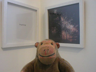 Mr Monkey looking at one of the photos in <strong>Reasons to Travel</strong> by Ting-Ting Chang