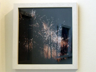 A picture of tree and fireworks from Reasons to Travel by Ting-Ting Chang