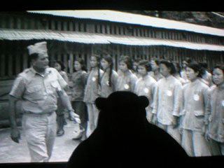 Mr Monkey watching a video loop : a Western advisor inspecting a unit of Chinese women