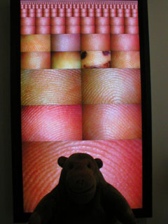 Mr Monkey looking at fingerprints displayed by Pulse Index