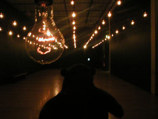Mr Monkey looking at rows of pulsing lights in Pulse Room