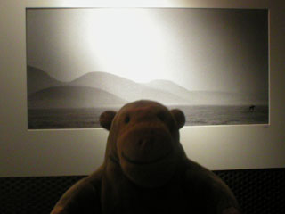 Mr Monkey looking at a photo of a bleak landscape by Ragnar Axelsson