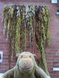 Mr Monkey looking at knitted sculptures by Elizabeth Smith