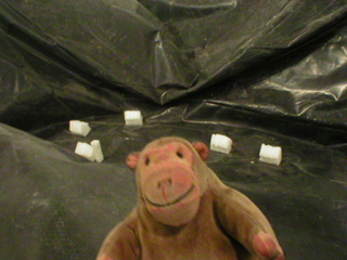 Mr Monkey looking at Kendal mint cake houses in a polythene valley
