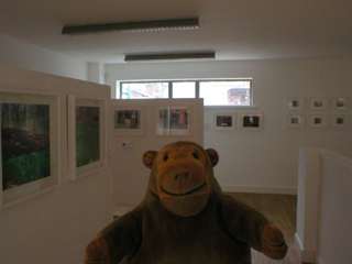 Mr Monkey looking around the Ethos exhibition