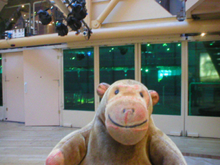Mr Monkey admiring the green walls of the ground floor of the Theatre