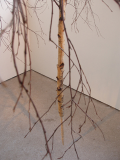 A table-leg-ended tree - Hybrid by Hilary Jack