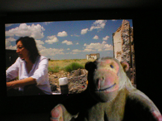 Mr Monkey watching the Anarcadia video