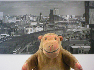 Mr Monkey looking at a panorama of Manchester by Phil Melia