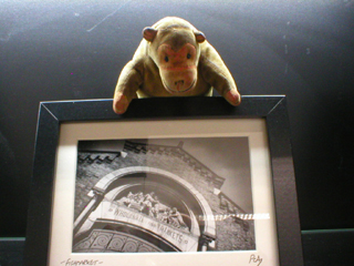 Mr Monkey examining a non-metallic print of an Aitchison photo