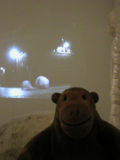 Mr Monkey watching a night scene in the Utopia Group video