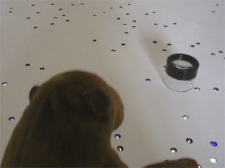 Mr Monkey looking at one of the star field tables in Deep Field by Dave Griffiths