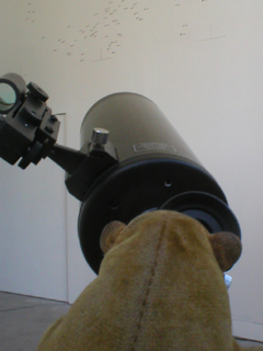 Mr Monkey using a telescope to examine a star map in Deep Field by Dave Griffiths
