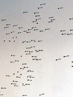 Part of the star map in Deep Field by Dave Griffiths