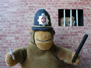 Mr Monkey outside his jail, with Mr Cat filing through the bars behind him