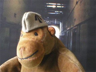 Mr Monkey wearing his convict's cap in a prison corridor