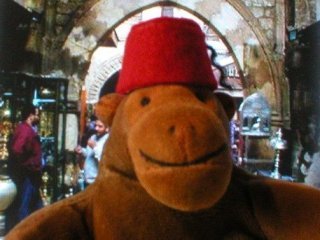 Mr Monkey wearing his fez in the Cairo souk