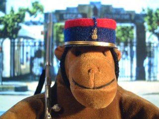 Mr Monkey in his red and blue Foreign Legion kepi