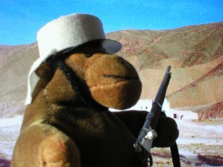 Mr Monkey in the desert, wearing his kepi with cover and neck cover