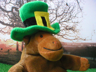 Mr Monkey in his leprechaun's green top hat